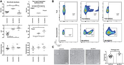 LDL-Based Lipid Nanoparticle Derived for Blood Plasma Accumulates Preferentially in Atherosclerotic Plaque